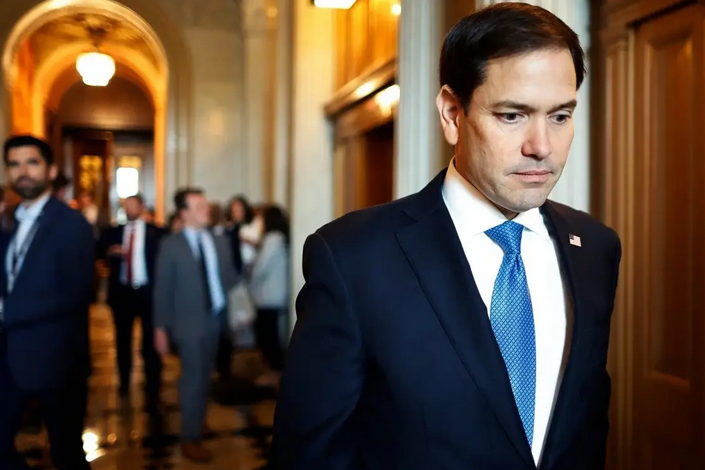 马斯克领导的“狗”部门，能蹦跶起来吗？