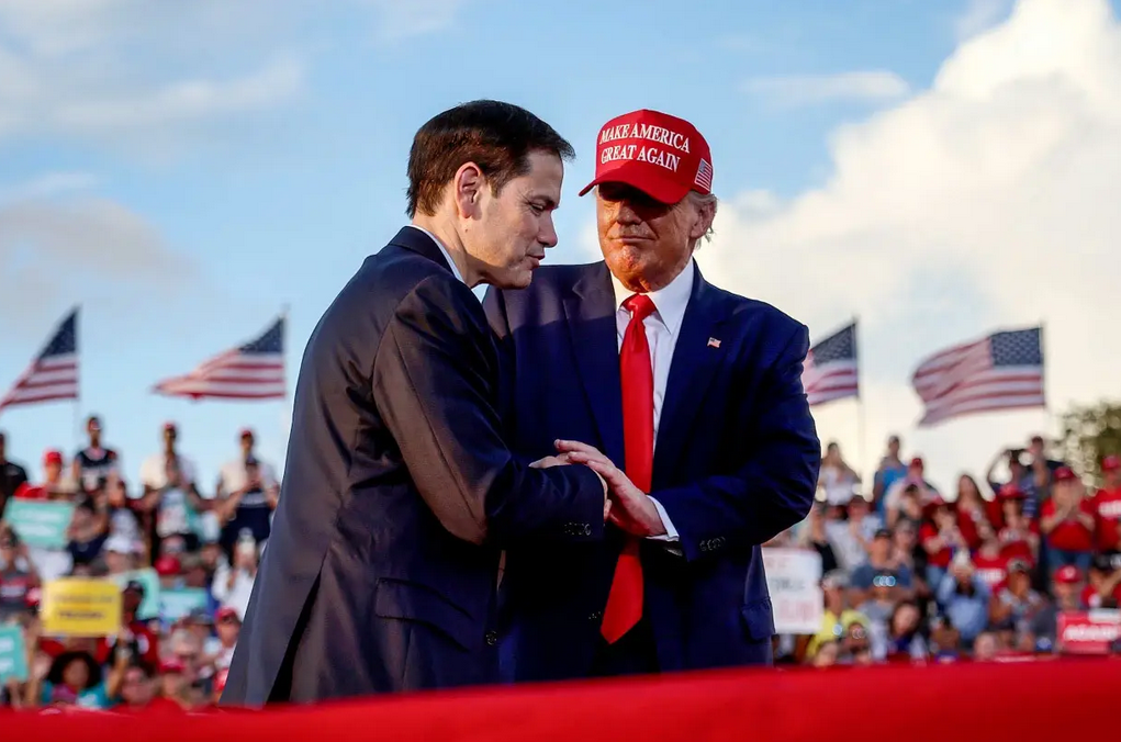 马斯克领导的“狗”部门，能蹦跶起来吗？