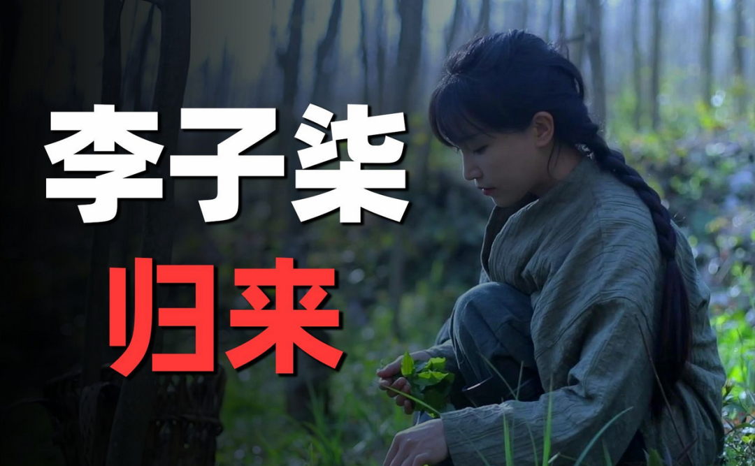 5小时观看量破亿，4年后李子柒归来仍是顶流