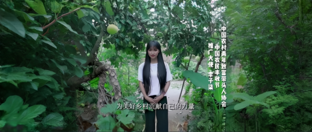 消失1000天，李子柒终于回来了，可江湖早已没有她的位置