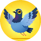 疯狂的节奏鸽子