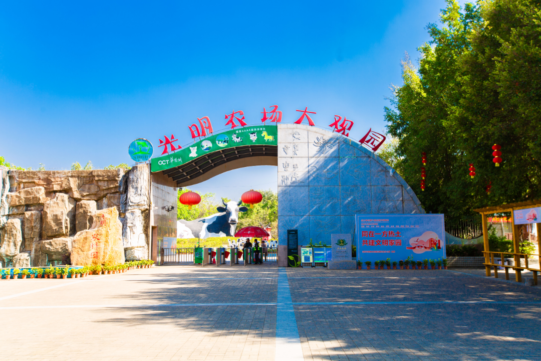 图片 18.png