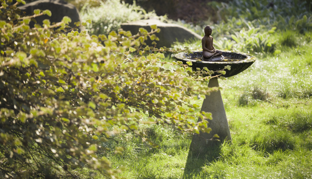 禅修丨重庆涪陵2021暑期大乘禅法启蒙地面系列禅营招生