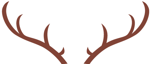 5个素人全职写手的挣钱经，值得称赞反反复复仿效！