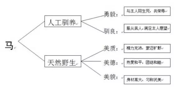 范进中举表格式教案_三年级上册综合实践表格式教案_四年级表格式教案