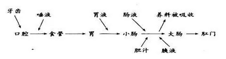 四年级表格式教案_范进中举表格式教案_三年级上册综合实践表格式教案