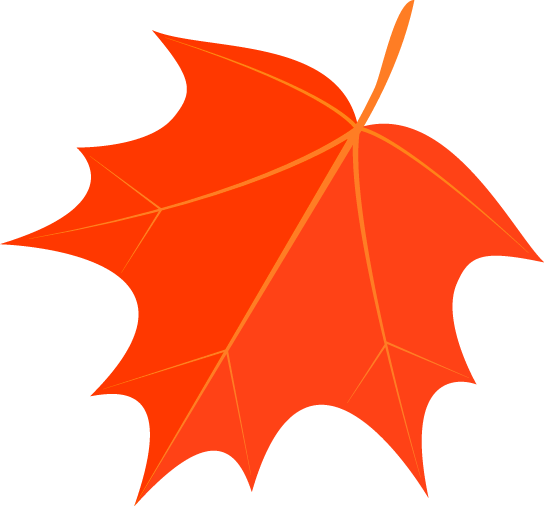 我是芳草小新苗 芳草小学南区新生报到啦 成都高新区芳草小学 微信公众号文章阅读 Wemp