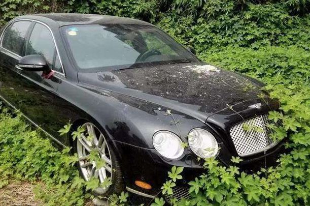 你知道汽车不开“最多”停放多少天？