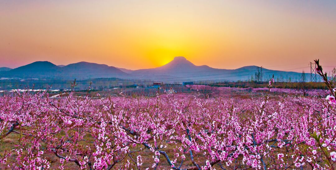 你好这里是兰陵