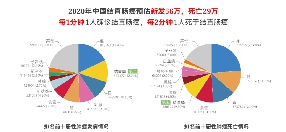 电子直肠镜怎么做【精准医学】肠癌筛查怕做肠镜？粪便基因检测了解一下！_https://www.jmylbn.com_新闻资讯_第5张