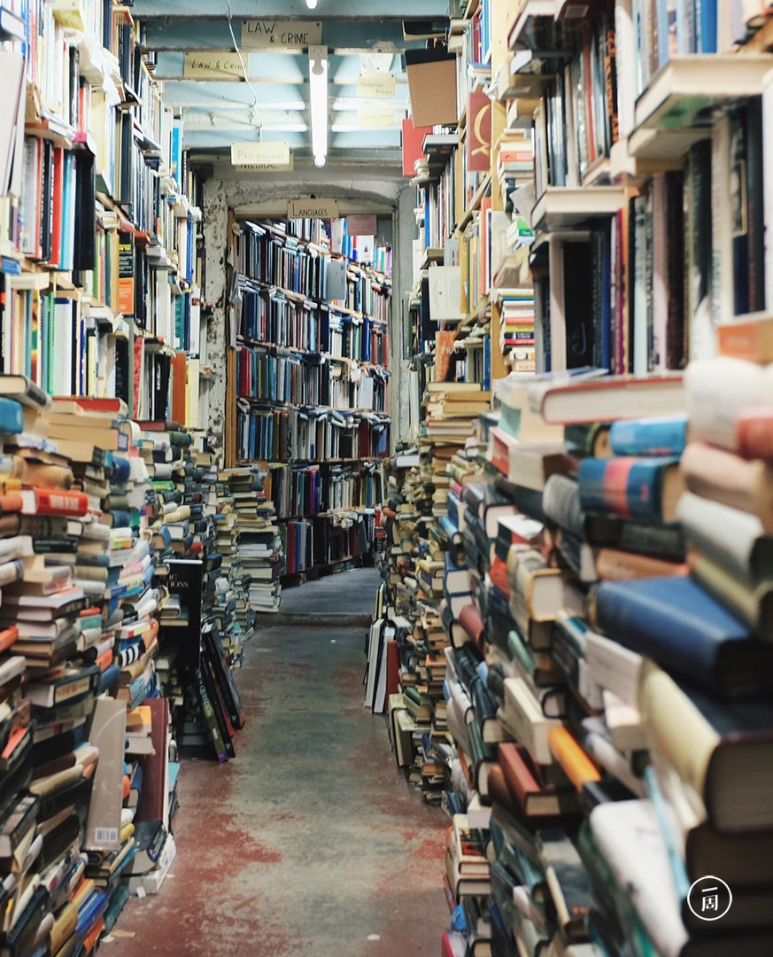 熬夜掉发半年后，我们终于写完了这篇文章。