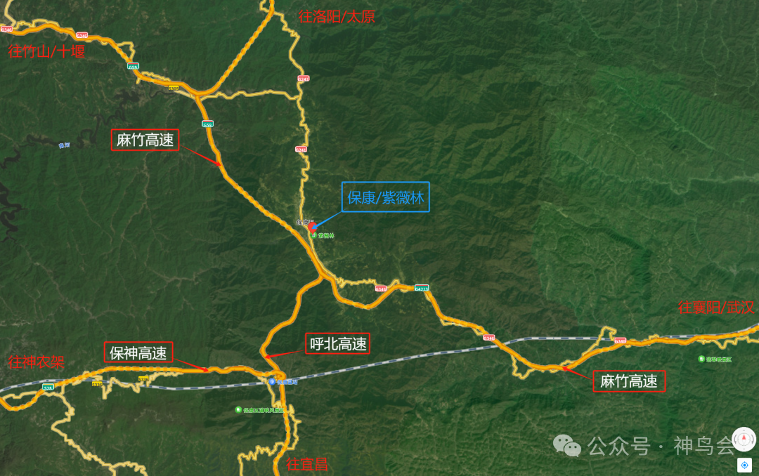 荆山有玉暖，紫薇林羽飞