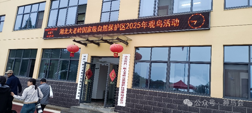 2025大老岭：观鸟&ldquo;趣与憾&rdquo;