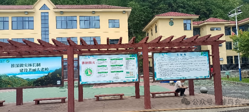 2025大老岭：观鸟&ldquo;趣与憾&rdquo;