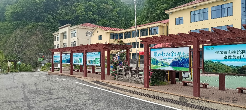 2025大老岭：观鸟&ldquo;趣与憾&rdquo;