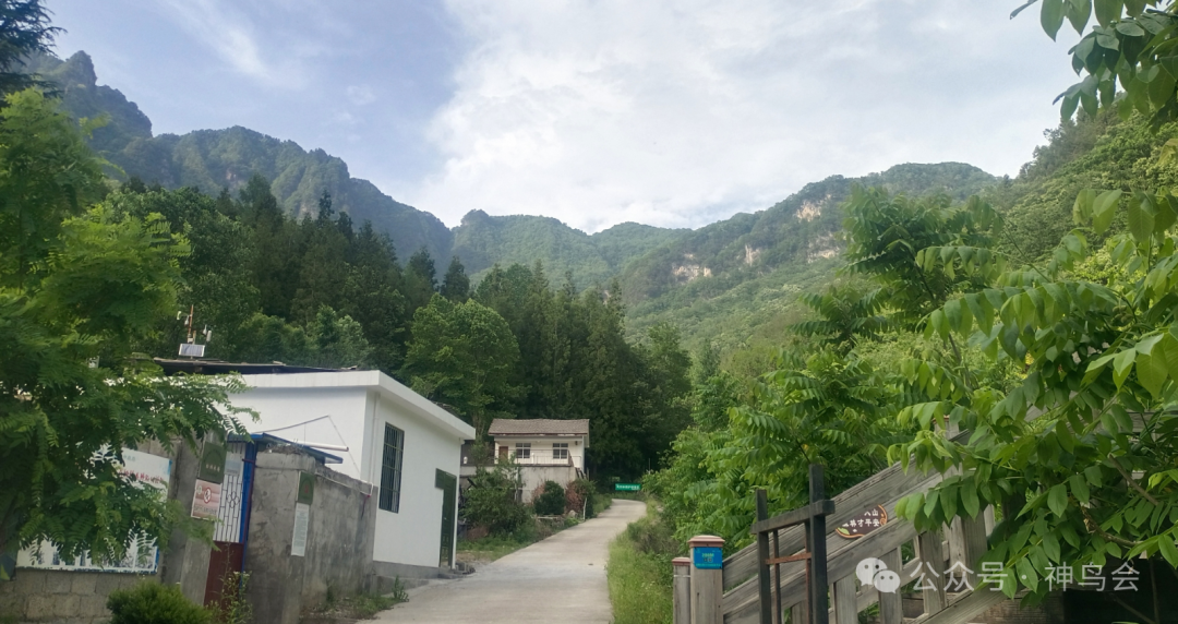 今日送郎山：灵蛇求偶+神奇的鸟