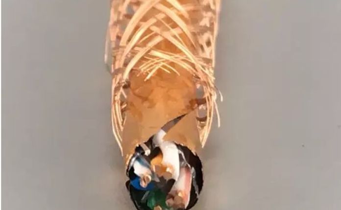 怎么区分双屏网线和非屏蔽网线？什么是超五类双屏蔽网线？(图13)