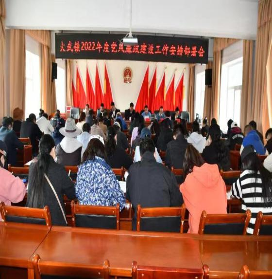 玛沁县大武镇多措并举抓好四大专项行动落实