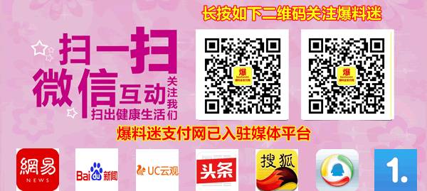 支付牌照的公司_有支付牌照的支付公司_支付牌照公司有几个