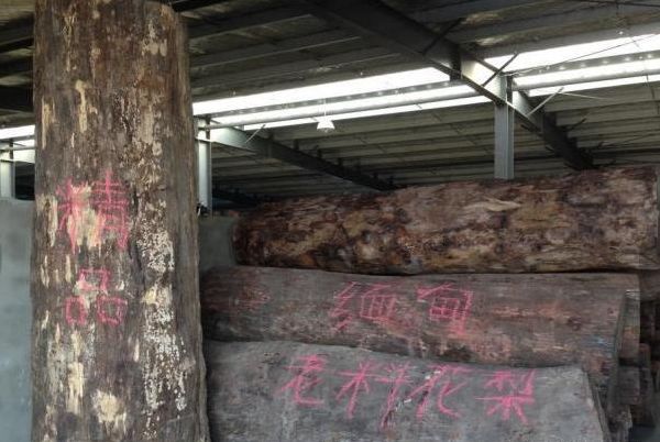 缅花现况：尺寸一年比一年小，价格还一年比一年高。