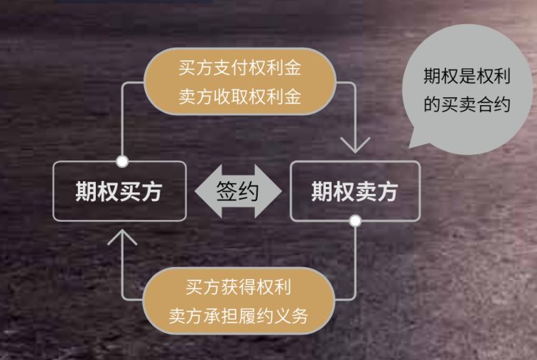 640?wx_fmt=jpeg&tp=webp&wxfrom=5&wx_lazy=1&wx_co=1