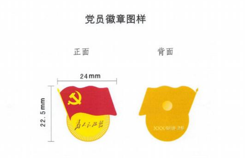 湖南省共产党员佩戴党员徽章管理办法（试行）