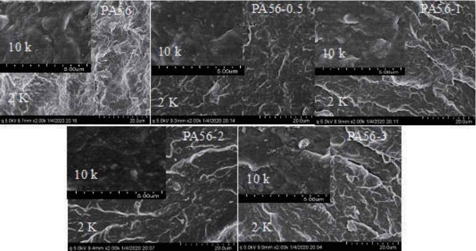 【材料应用】抗菌PA56 | 让医用也可降解！的图3