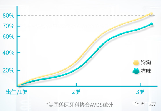 口腔 DR机器怎么用幽兰 ｜ 宠物医院该如何选择动物牙科DR设备？_https://www.jmylbn.com_新闻资讯_第3张