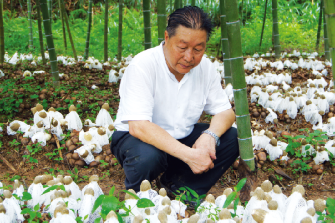 《滴水穿石——脱贫攻坚福建故事》出版