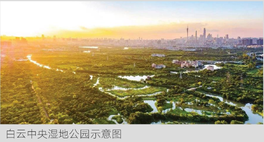 18、22号线交汇！白云城市**盘亮相，能抄底吗？