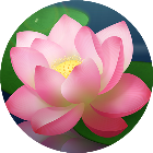 花朵消消乐经典消除