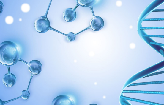 同型半氨酸怎么化验同型半胱氨酸的认知_https://www.jmylbn.com_新闻资讯_第1张