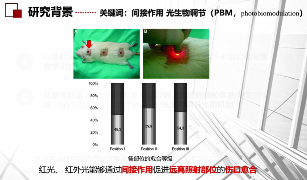红光可以间接远距离促进伤口愈合