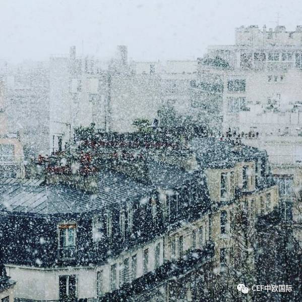 , 圣诞将至，风雪交加，唯有一封offer才能温暖我, My Crazy Paris