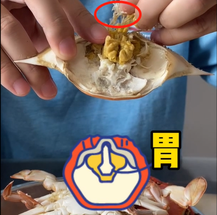 生蚝里面黑色的像屎一样的能吃吗_狗自己的屎不吃 吃别的狗的屎_生蚝里面什么样子