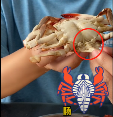 生蚝里面什么样子_生蚝里面黑色的像屎一样的能吃吗_狗自己的屎不吃 吃别的狗的屎