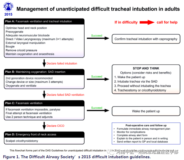 喉镜镜片怎么选困难气道的10项原则_https://www.jmylbn.com_新闻资讯_第4张