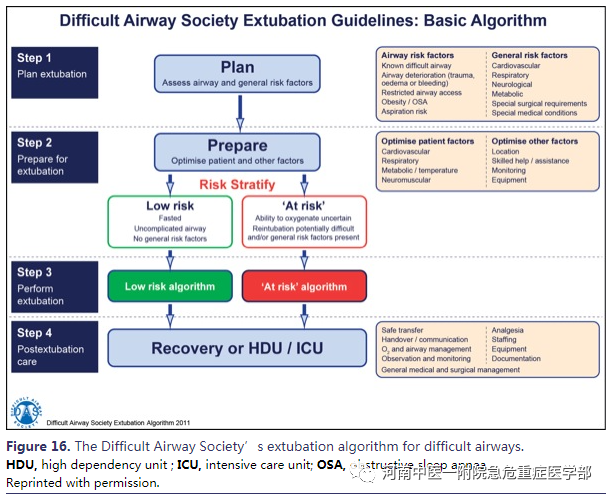 喉镜镜片怎么选困难气道的10项原则_https://www.jmylbn.com_新闻资讯_第26张