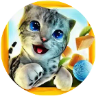应用icon-猫咪模拟游戏2024官方新版