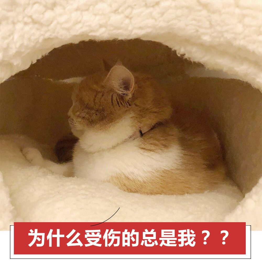 比「卡脖子」更阴损▽还是远离保平安吧这样用心险恶之徒比喻抓住要害