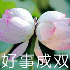 Ҳ�ǣ�����Щ���޳����˵���ѧ��Ʒ��ǰ���·�����Ǹ��ܵ�