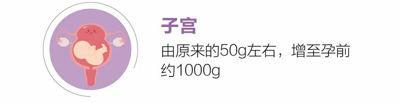 产后怎么康复治疗@产后妈妈，咳嗽漏尿、产后难言之隐，盆底康复治疗让你告别尴尬！_https://www.jmylbn.com_新闻资讯_第6张