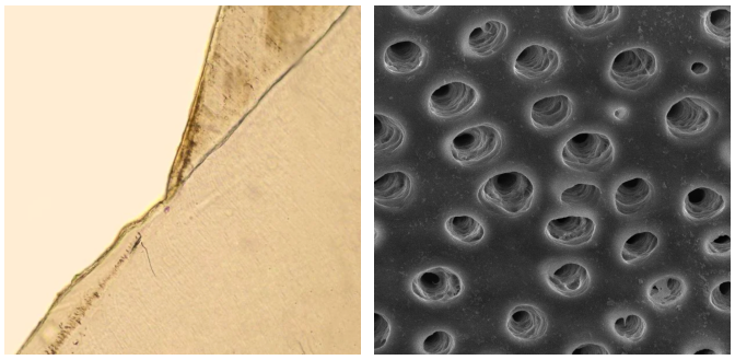 什么才是真实结构？光学、电子与尺度的差异