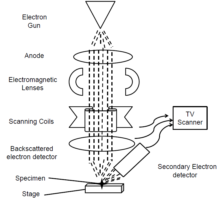 什么才是真实结构？光学、电子与尺度的差异