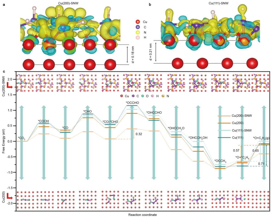 用于高选择性且持久的二氧化碳电还原制乙烯的席夫碱网络协同修饰铜表面研究