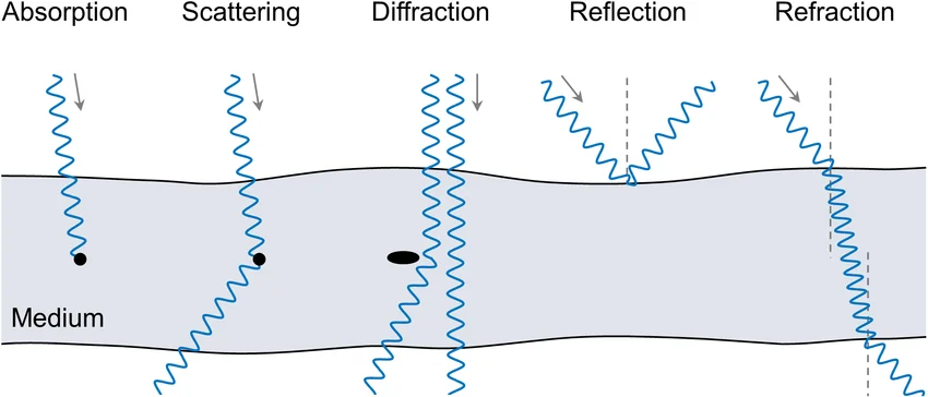 什么才是真实结构？光学、电子与尺度的差异