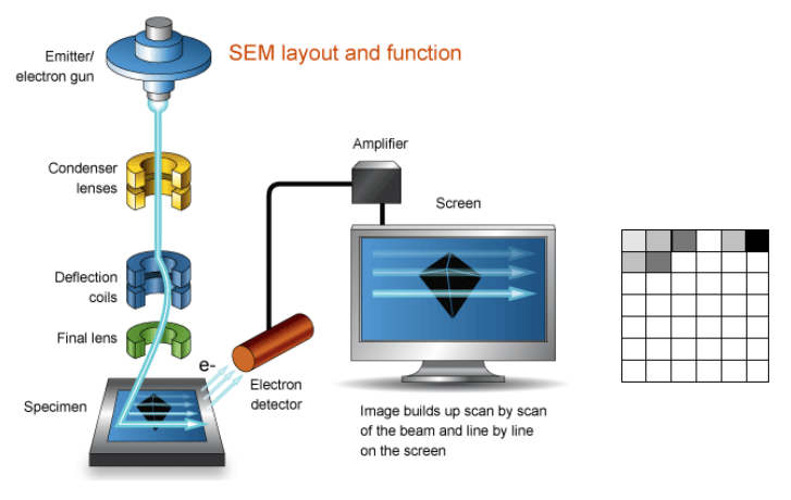黑白之间的微观真相：扫描电镜与原位SEM如何揭示材料结构与演化