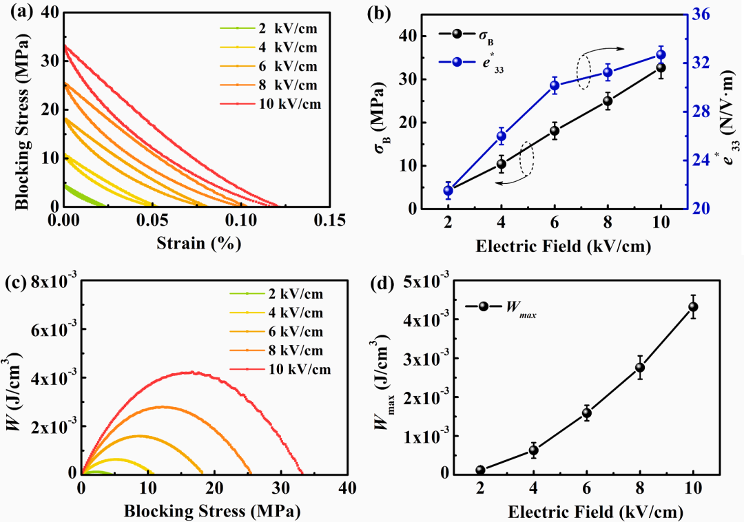 应力驱动下的铁电畴动态演变及其对驱动器性能的影响