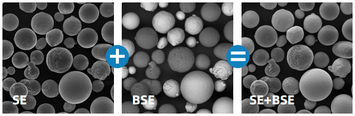 黑白之间的微观真相：扫描电镜与原位SEM如何揭示材料结构与演化