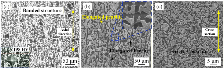 工业同步电机转子磁极螺钉的微观组织特征与断裂行为研究